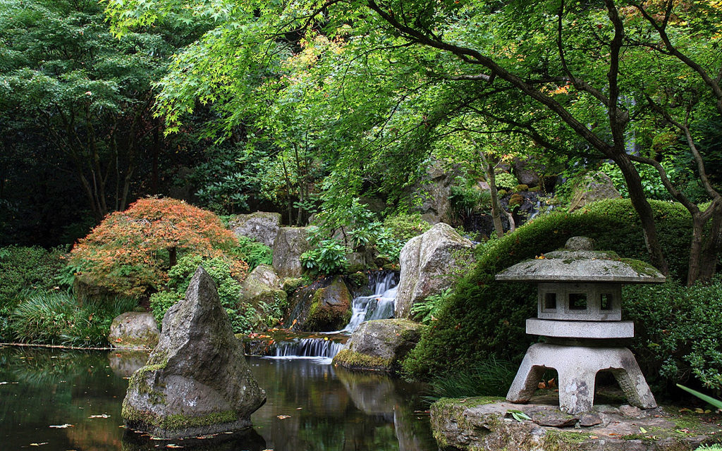Shelly Blankman – Japanese Tea Garden