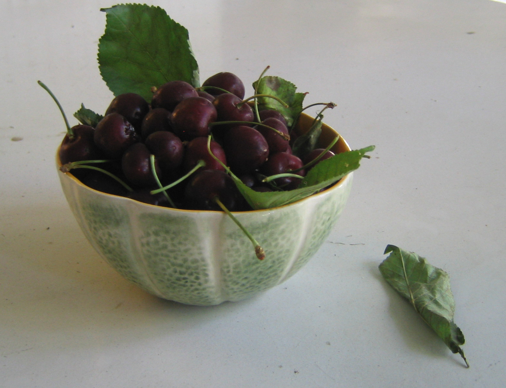 A Bowl of Cherries by Karen Greenbaum-Maya