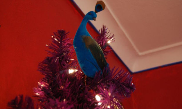 Lynn B. Connor – The Peacock on Top of the Christmas Tree